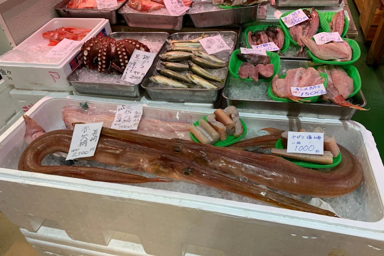 Fresh seafood display at Tsukiji Outer Market featuring various fish, octopus, and long eel-like fish on ice.