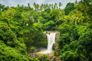 Scenic waterfall in Ubud, Bali, surrounded by lush tropical greenery and natural rock formations.